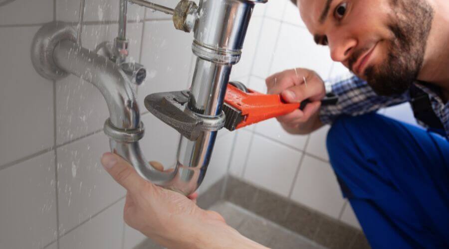 Professional Leak Detection Services in Grey Eagle, MN